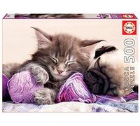 Educa - Puzzle de 500 Piezas para Adultos | Compañeros de Sueños. Incluye Pegamento Fix Puzzle. A Partir de 11 años (17644)