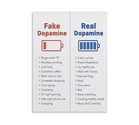 Educational Dopamine Poster Guide on Real vs Fake Sources and Healthy Unhealthy Habits Canvas Painting for Living Room Bedroom Decor(Unframed,12x18inch(30x45cm))