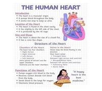 Educational Human Heart Poster - Laminated Anatomical Chart for Medical Students, Nursing Education, Classroom and Clinic Decor(Framed,12x18inch(30x45cm))