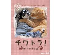 (Educational Interests) - Chiwatora! Chiwawa To Toraneko Rin To Masamune Niichan No Beautiful Na M [Edizione: Giappone] [Italia] [DVD]