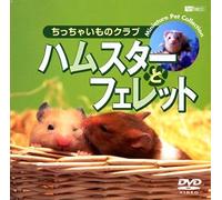 (Educational Interests) - Synforest Dvd Hamster To Ferret/Chicchai Mono Club [Edizione: Giappone] [Italia]