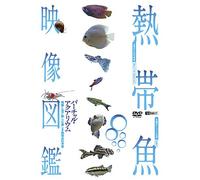 (Educational Interests) - Synforest Dvd Nettaigyo Eizou Zukan Virtual Aquarium Eizou To Oto De Tan [Edizione: Giappone] [Italia]