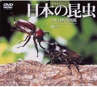 (Educational Interests) - Synforest Dvd Nihon No Konchuu [Dvd Eizou Zukan] [Edizione: Giappone] [Italia]