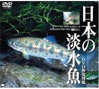 (Educational Interests) - Synforest Dvd Nihon No Tansuigyo [Dvd Eizou Zukan] [Edizione: Giappone] [Italia]