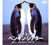 (Educational Interests) - Synforest Dvd Penguin Theater Nankyoku Tairiku Kara No Okurimono [Edizione: Giappone] [Italia]