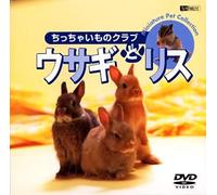 (Educational Interests) - Synforest Dvd Usagi To Risu/Chicchai Mono Club [Edizione: Giappone] [Italia]