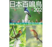 (Educational Interests) - Wild Birds Of Japan [Edizione: Giappone] [Italia] [DVD]