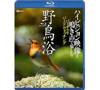 (Educational Interests) - Yachou Yoku Highvision Eizou To Nakigoe De Tanoshimu Virtual Birdwatchin [Edizione: Giappone] [Italia] [Blu-ray]