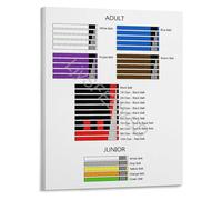 Educational Martial Arts Poster BJJ Belt Rank Order Progression Guide Grappling Reference Chart for Men Home Training Gym(Framed,12x18inch(30x45cm))