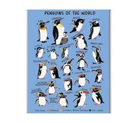 Educational Penguin Wall Art - Penguin of the World Chart for Kids Room, Nursery, Classroom Decor on Durable Canvas(Framed,12x18inch(30x45cm))
