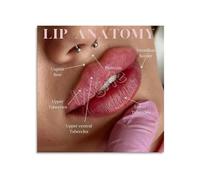 Educational Poster on Lip Anatomy, Detailed Diagram Canvas for Biology Study or Office Decor(Framed,08x12inch(20x30cm))