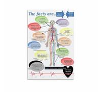 Educational Wall Art Oral Health and Whole Body Wellness Poster Informative Chart on the Mouth Body Connection for Clinic Classroom(Framed,16x24inch(40x60cm))