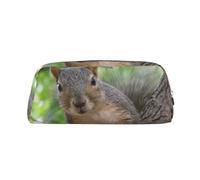 EdWal Estuche grande con estampado de ardilla en el árbol para lápices, papelería, oficina, universidad, escuela, maquillaje, Silver, Talla única, Neceser