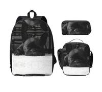EdWal Mochilas con estampado de bulldog francés con bolsa de almuerzo, estuche para lápices, 3 piezas, bolsa ligera para libros para escuela secundaria, Black, Talla única
