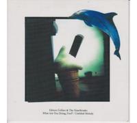 Edwyn Collins & the Heartbreaks - WHAT ARE YOU DOING, FOOL? [7" VINYL]