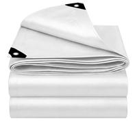 EEATUZTL Blanco Lonas Impermeables Exterior, Lonas de Exterior Reforzado PE con Ojales, Duradera Toldo Impermeable para Jardín, Piscinia, Terrazas, Vehículos, Coche, Muebles, Leña - 6x12m