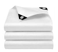 EEATUZTL Blanco Lonas Impermeables Exterior, Lonas de Exterior Reforzado PE con Ojales, Duradera Toldo Impermeable para Jardín, Piscinia, Terrazas, Vehículos, Coche, Muebles, Leña - 4x8m