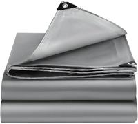 EEATUZTL Lonas Impermeables Exterior 6x9m, Lonas de Exterior Reforzado PE con Ojales, Duradera Toldo Impermeable para Jardín, Piscinia, Terrazas, Vehículos, Coche, Muebles, Leña (Plata)