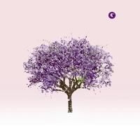 Eels - Tomorrow Morning [Import]