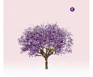 Eels - Tomorrow Morning [Import]