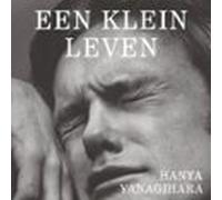 een klein leven (audiolibro)
