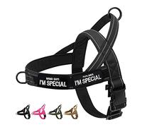 Eeyfarog No Pull - Arnés para Perros pequeños y medianos Reflectante, Ajustable, sin tirón, arnés para Perros