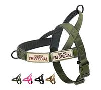 Eeyfarog No Pull - Arnés para Perros pequeños y medianos Reflectante, Ajustable, sin tirón, arnés para Perros
