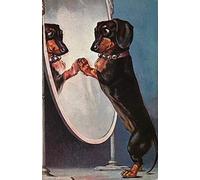 Eeypy Letrero de metal retro de aluminio vintage con texto en inglés "Dachshund Looking in Mirror Come Lets Play Old Dog"