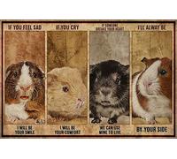 Eeypy Placa de metal retro con texto en inglés "If You Feel Sad if You Cry Guinea Pig Mouse"