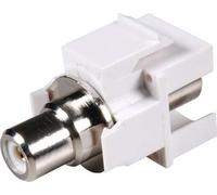EFB-Elektronik EB494 Adaptador de Cable RCA Blanco - Adaptador para Cable (RCA, RCA, Female Connector/Female Connector, Blanco)