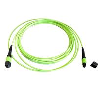 EFB-Elektronik MTP¬-F/MTP¬-F 12-Fasermatrix Patchkabel OM5, LSZH limettengrün, Code B, 15m (MTPF12MTPFOM5-15) Marca