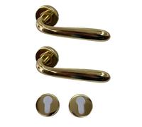 effedielle® Tirador para puerta completa interior y exterior, con muelle de retorno, disponible en varios modelos y colores, tornillos de fijación incluidos (latón pulido, orificio redondo cilindro)