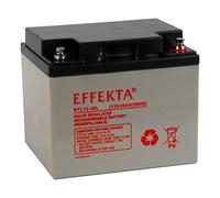 Effekta Batería de plomo AGM VRLA BTL 12-45L 12 V 45 Ah