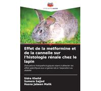 Effet de la metformine et de la cannelle sur l'histologie rénale chez le lapin