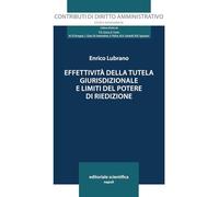 Effettività della tutela giurisdizionale e limiti del potere di riedizione (Contributi di diritto amministrativo. Studi e monografie)