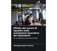 Effetto del lavoro di squadra sulle prestazioni lavorative dei dipendenti: Nel caso dell'istituto di microfinanza Meklit