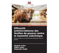 Efficacité antimicrobienne des feuilles de goyave contre la mammite subclinique: Pour améliorer la santé de la mamelle chez le buffle