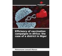 Efficiency of vaccination campaigns in Africa: the case of a district in Niger