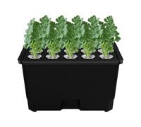 Efficient Hydroponic Box - 15 Pod Planter for Home | Abs with Compact Design, Gardening System, Cultivation Tool, Greenhouse Farm Backyard Accessory, Windowsill Kitchen Indoor and Outdoor Plant