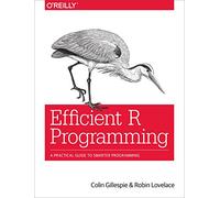 Efficient R Programming: A Practical Guide to Smarter Programming