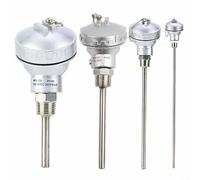 EffiFish Sonda de sensor de temperatura PT100, rosca M20 x 1,5 de acero inoxidable 304, rango de medición de -200 °C a 420 °C (300 mm)