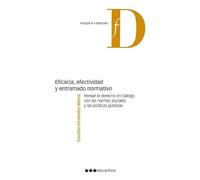 Eficacia, efectividad y entramado normativo: Pensar el derecho en dialogo con las normas sociales y las políticas públicas (Filosofía y Derecho)