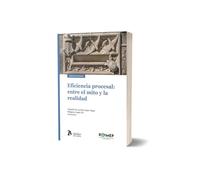 Eficiencia procesal: entre el mito y la realidad.