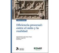 EFICIENCIA PROCESAL ENTRE EL MITO Y LA REALIDAD | Yolanda De Lucchi López-tapia, Aimé Tapia