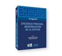 Eficiencia procesal. Modernización de la Justicia: 4 (Colección Los ODS, Tecnología y Procesos)