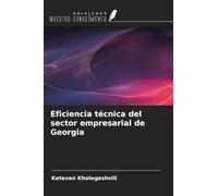 Eficiencia técnica del sector empresarial de Georgia