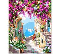 EFOTIML Pintura por Números Kit para Adultos Principiantes y Niños Edades 8-12, 1pcs 16x20 Canva para Kits de Pintura para Adultos en Colorido Caja (sin marco) - Ciudad de Flores