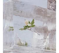 Efterklang Wildflowers (Vinyl) 12" Album (Importación USA)