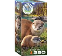 (EG82515558) - Eurographics Puzzle 250 Pc - Otters
