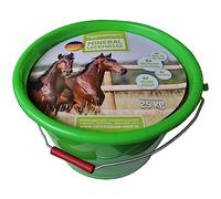 Eggersmann Mein - Comida mineral para caballos (25 kg, resistente a la intemperie, para alojamiento independiente)
